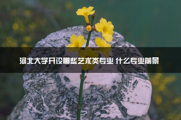 河北大学开设哪些艺术类专业 什么专业前景好