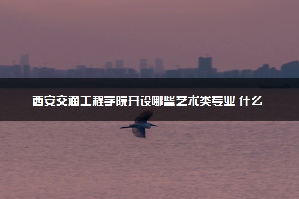西安交通工程学院开设哪些艺术类专业 什么专业前景好