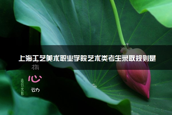 上海工艺美术职业学院艺术类考生录取规则是怎样的 有哪些要求
