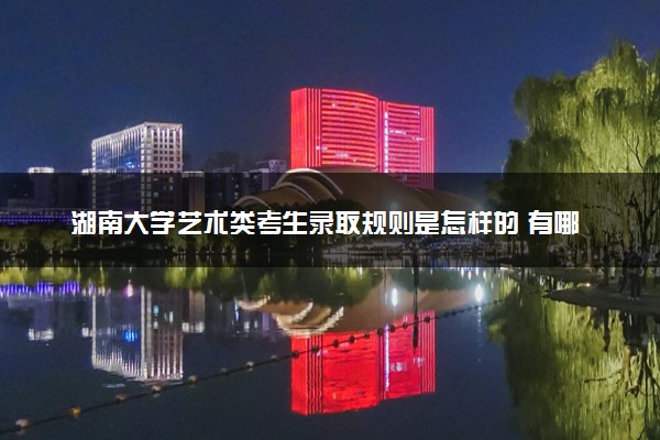 湖南大学艺术类考生录取规则是怎样的 有哪些要求