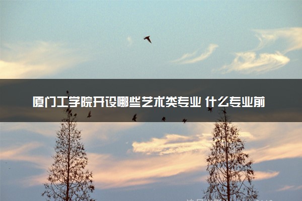 厦门工学院开设哪些艺术类专业 什么专业前景好
