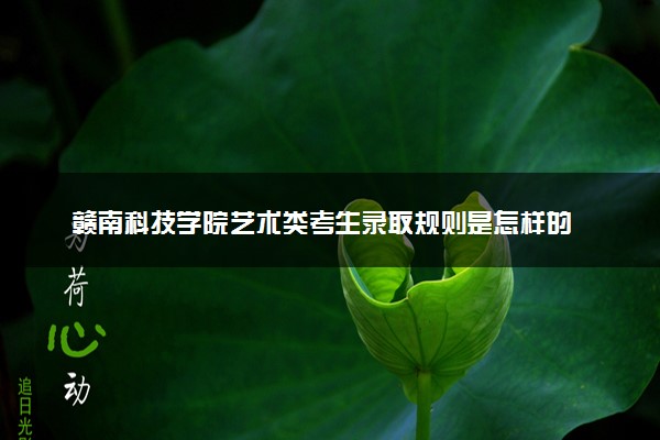 赣南科技学院艺术类考生录取规则是怎样的 有哪些要求