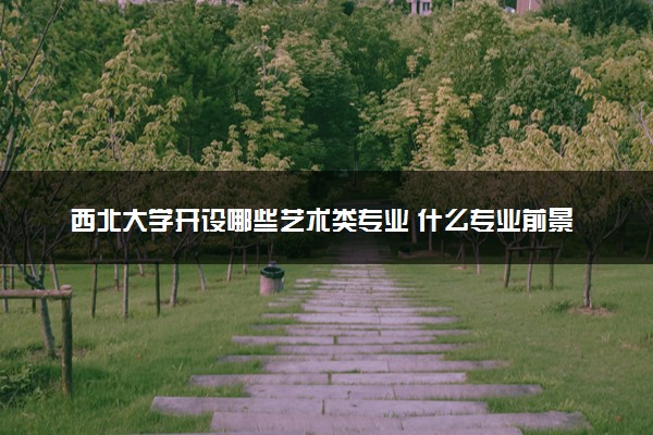 西北大学开设哪些艺术类专业 什么专业前景好