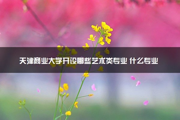 天津商业大学开设哪些艺术类专业 什么专业前景好
