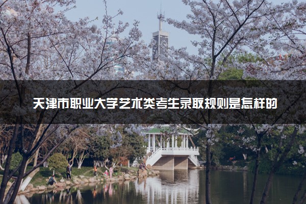 天津市职业大学艺术类考生录取规则是怎样的 有哪些要求
