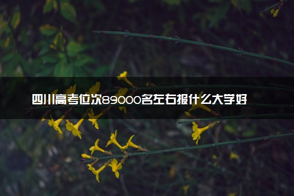 四川高考位次89000名左右报什么大学好（2025年参考）