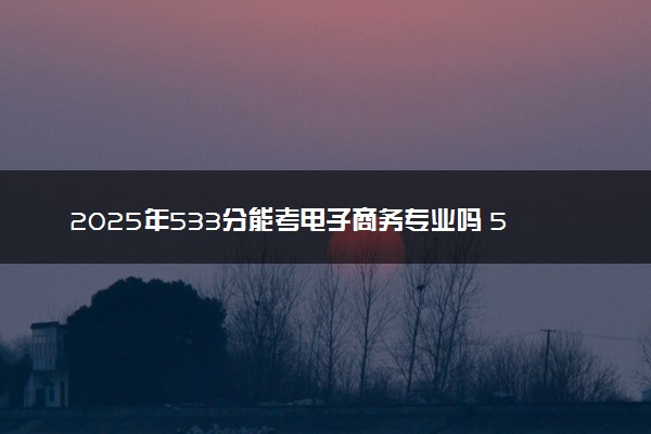 2025年533分能考电子商务专业吗 533分电子商务专业大学推荐