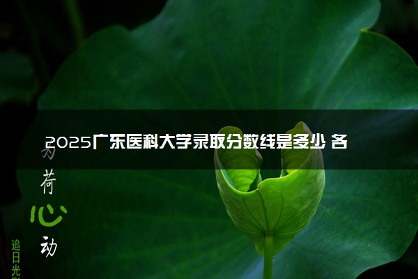 2025广东医科大学录取分数线是多少 各省最低分数线汇总