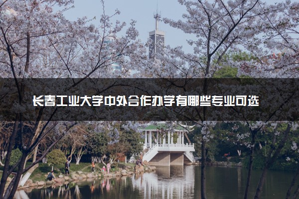 长春工业大学中外合作办学有哪些专业可选 读完能干啥