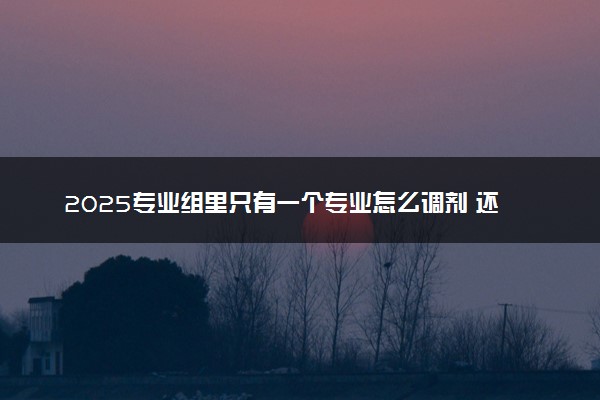 2025专业组里只有一个专业怎么调剂 还能调剂吗