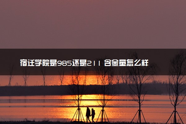 宿迁学院是985还是211 含金量怎么样