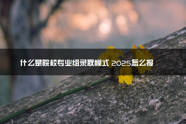 什么是院校专业组录取模式 2025怎么报志愿