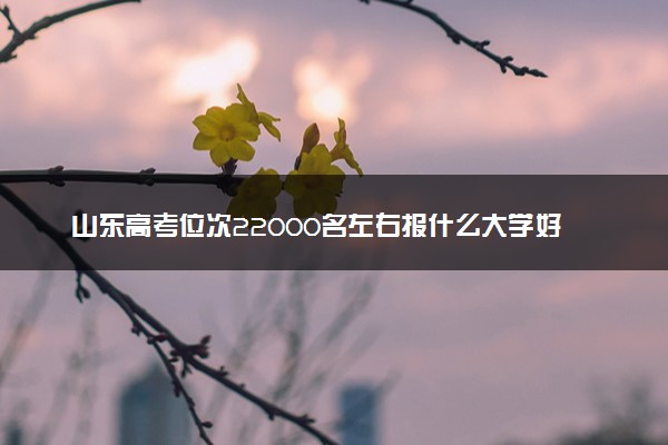 山东高考位次22000名左右报什么大学好（2025年参考）