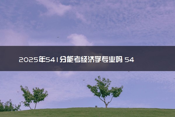 2025年541分能考经济学专业吗 541分经济学专业大学推荐