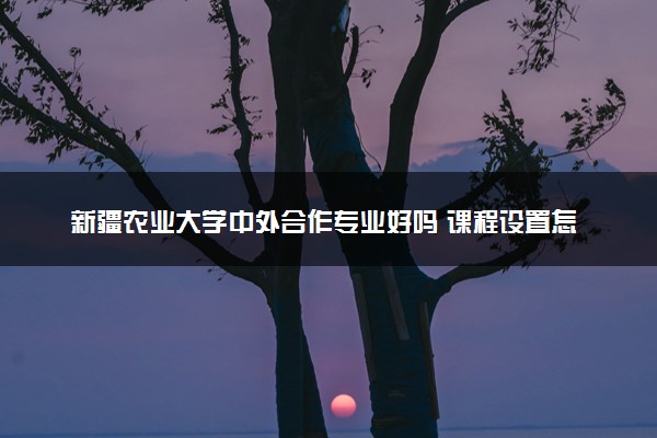 新疆农业大学中外合作专业好吗 课程设置怎样