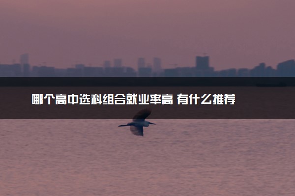 哪个高中选科组合就业率高 有什么推荐
