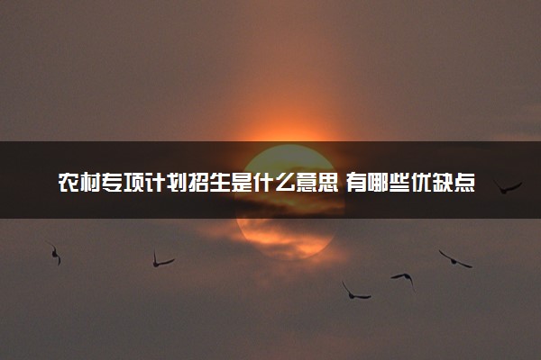 农村专项计划招生是什么意思 有哪些优缺点