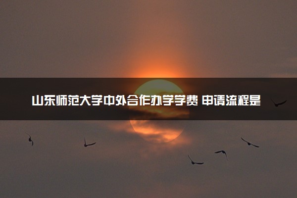 山东师范大学中外合作办学学费 申请流程是怎样的