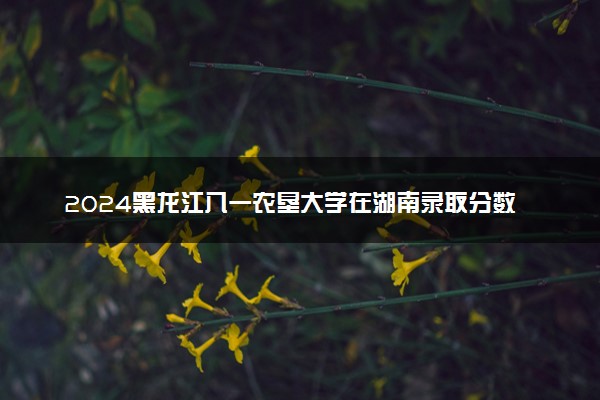2024黑龙江八一农垦大学在湖南录取分数线 各专业分数及位次