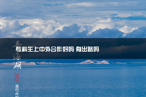 专科生上中外合作好吗 有出路吗