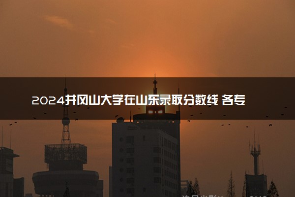 2024井冈山大学在山东录取分数线 各专业分数及位次