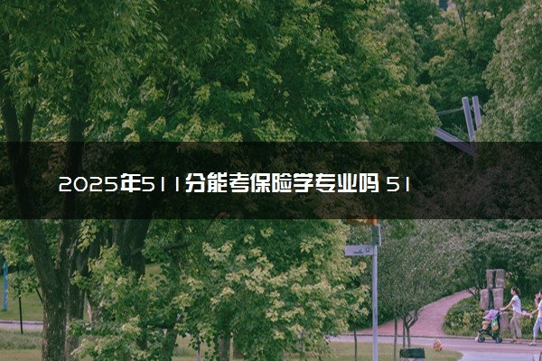 2025年511分能考保险学专业吗 511分保险学专业大学推荐