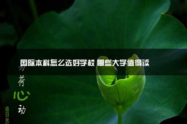国际本科怎么选好学校 哪些大学值得读