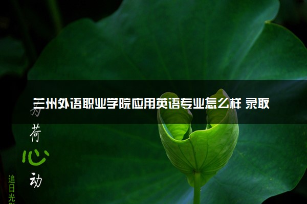 兰州外语职业学院应用英语专业怎么样 录取分数线多少