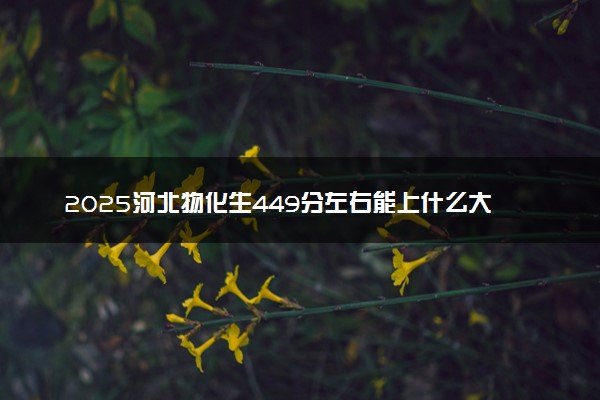 2025河北物化生449分左右能上什么大学 可以报考的院校名单