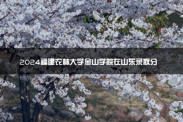 2024福建农林大学金山学院在山东录取分数线 各专业分数及位次