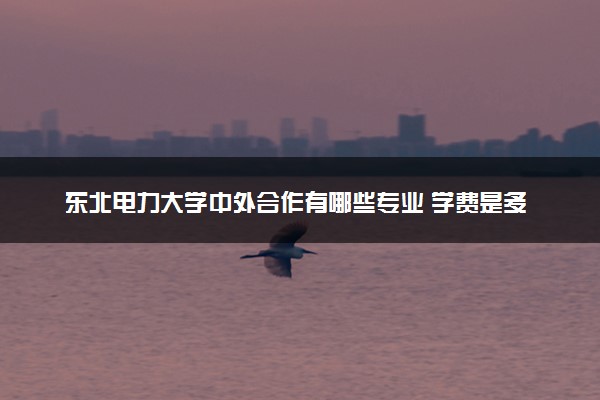 东北电力大学中外合作有哪些专业 学费是多少