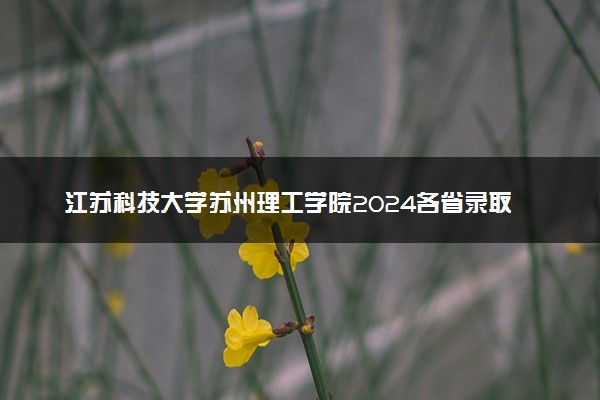 江苏科技大学苏州理工学院2024各省录取分数线及最低位次是多少