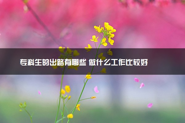 专科生的出路有哪些 做什么工作比较好