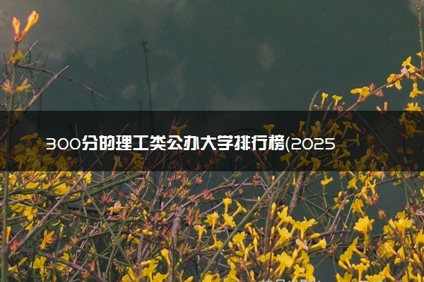 300分的理工类公办大学排行榜（2025考生参考)