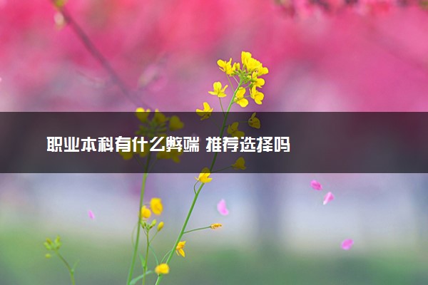职业本科有什么弊端 推荐选择吗