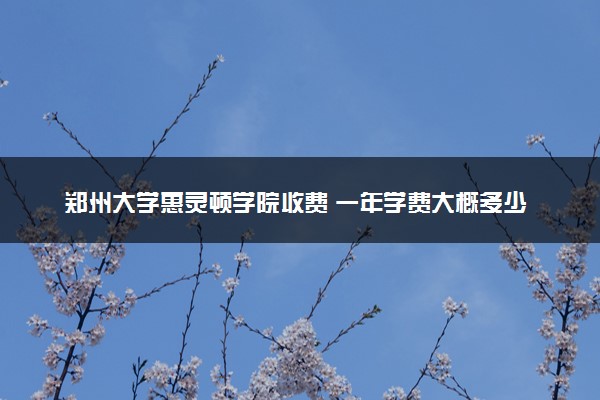 郑州大学惠灵顿学院收费 一年学费大概多少钱