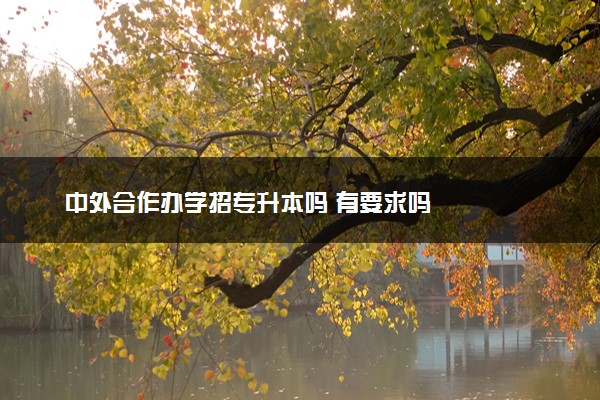 中外合作办学招专升本吗 有要求吗