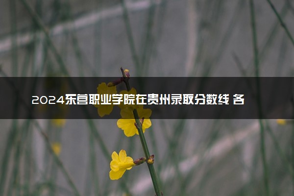 2024东营职业学院在贵州录取分数线 各专业分数及位次