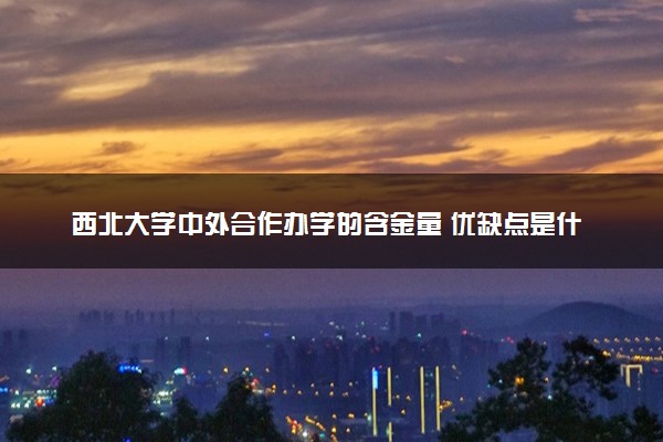 西北大学中外合作办学的含金量 优缺点是什么
