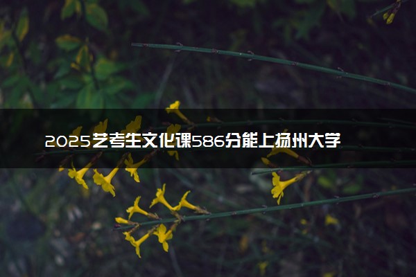 2025艺考生文化课586分能上扬州大学吗