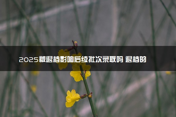 2025被退档影响后续批次录取吗 退档的后果有哪些