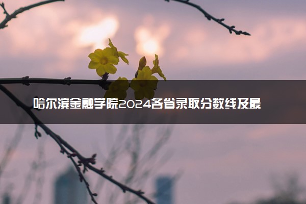 哈尔滨金融学院2024各省录取分数线及最低位次是多少