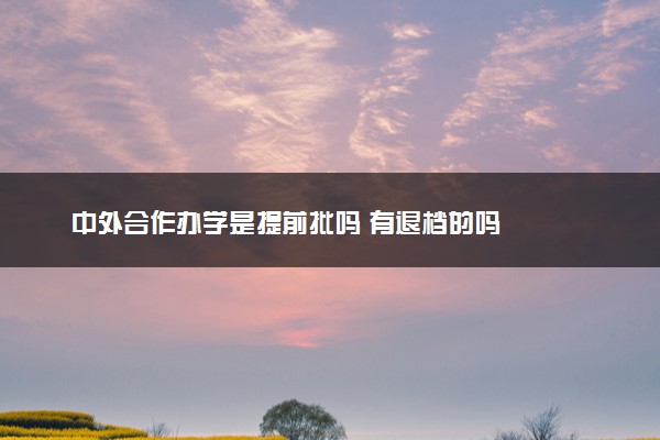 中外合作办学是提前批吗 有退档的吗