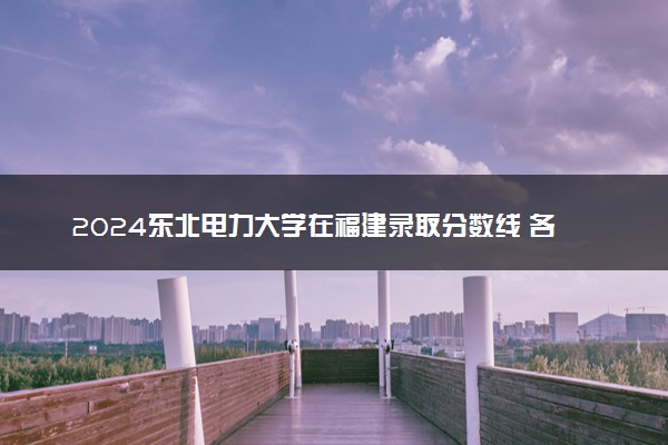 2024东北电力大学在福建录取分数线 各专业分数及位次