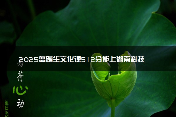 2025舞蹈生文化课512分能上湖南科技大学吗