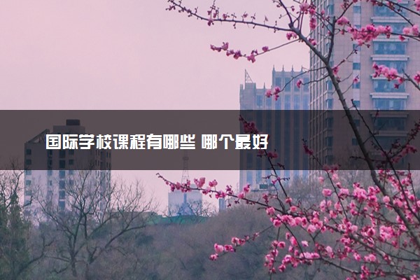 国际学校课程有哪些 哪个最好