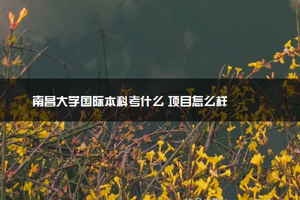 南昌大学国际本科考什么 项目怎么样