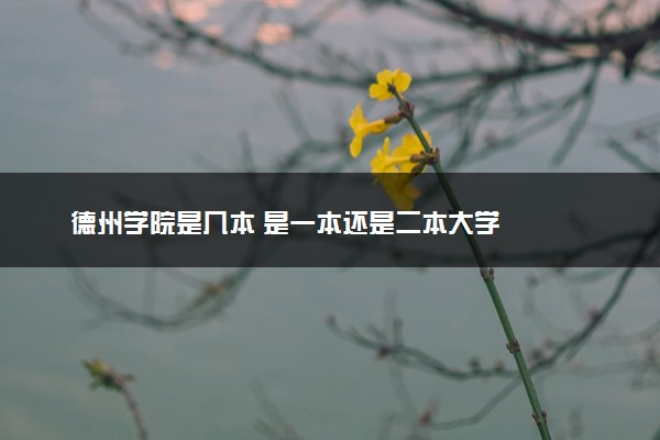 德州学院是几本 是一本还是二本大学