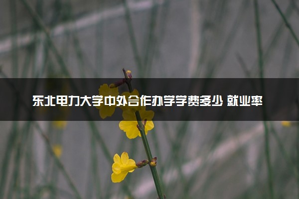 东北电力大学中外合作办学学费多少 就业率如何