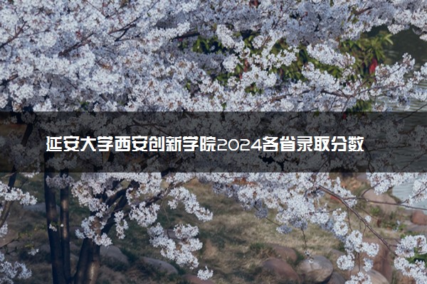 延安大学西安创新学院2024各省录取分数线及最低位次是多少